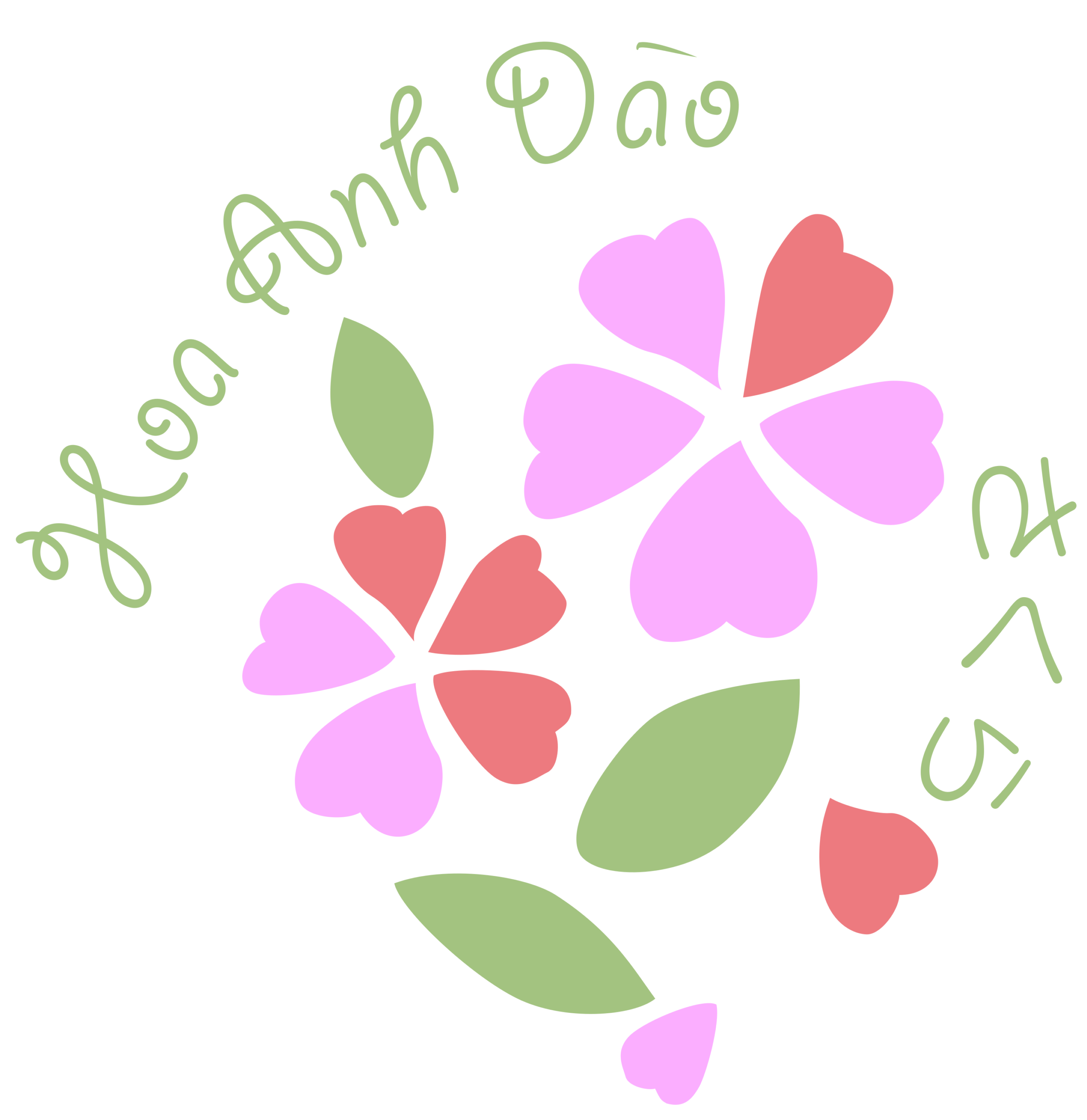 さくら HoaAnhDao 幼稚園